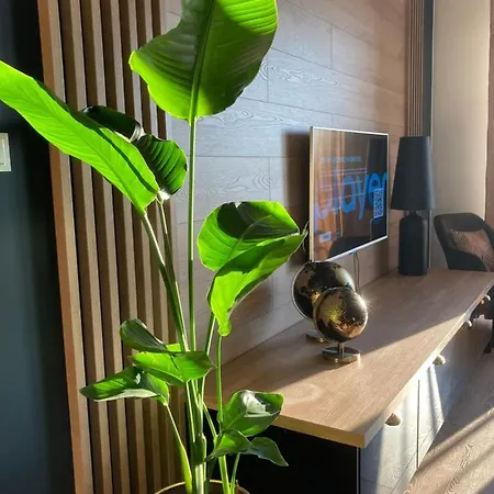 Apartamenty Termalne Green Apartment Uniejów Exterior foto
