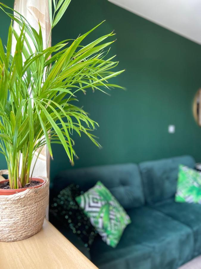 Apartment Termalne Uniejow